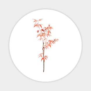 red Japanese dwarf maple tree watercolor Magnet